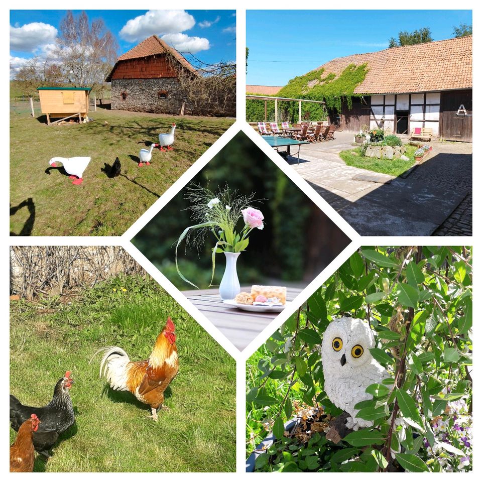 Ferienwohnung -Hof 8-15 Per. Gruppen Familien Harz Ferienhaus in Hohenstein bei Nordhausen