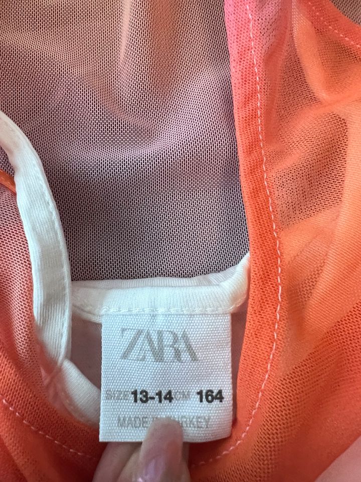 Hübsches Mädchen Shirt Bluse Zara Größe 164 Neu in Berlin