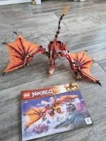 Ninjago Lego 71753 Drachen kinder bauen Hessen - Hanau Vorschau