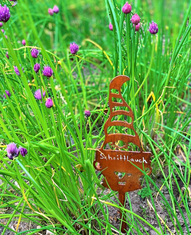 Beetstecker Kräuterstecker Zwerge Gemüsestecker Kräuterschilder in Emsbüren