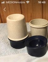 2 Tupperware Eierbecher Schleswig-Holstein - Bosau Vorschau