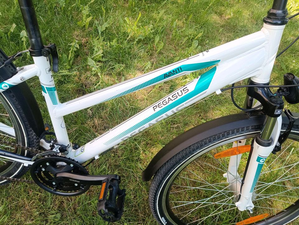 26 zoll Pegasus Fahrrad. 21 Gänge. 38 size nabendinamo in Freiburg im Breisgau