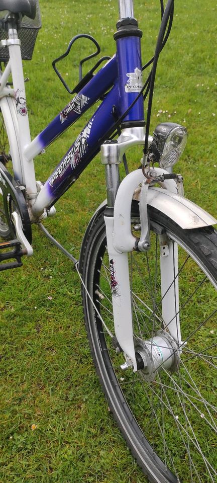 26 Zoll Pegasus Mädchenrad Damenrad Fahrrad Rad in Malente