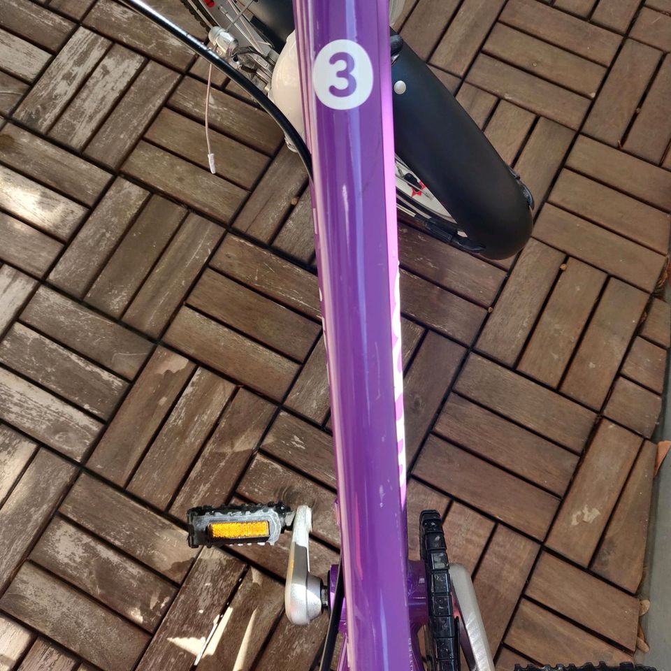 Woom 3  16 Zoll  lila  Kinder Fahrrad in Dresden