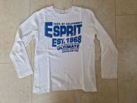 Esprit Langarmshirt Gr. 140/146 Sachsen - Borna Vorschau