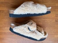 Papillio Birkenstock Big Buckle Fell Bayern - Würzburg Vorschau