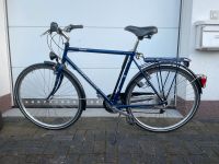 Pegasus Swing LX Fahrrad Nordrhein-Westfalen - Wiehl Vorschau