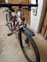 Mountain Bike gebraucht Hessen - Hattersheim am Main Vorschau