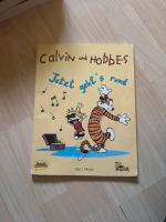 Comic Calvin und Hobbes Nordrhein-Westfalen - Gütersloh Vorschau