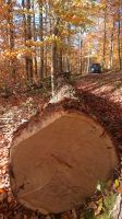 Eichenbalken Bretter Niedersachsen - Rosdorf Vorschau