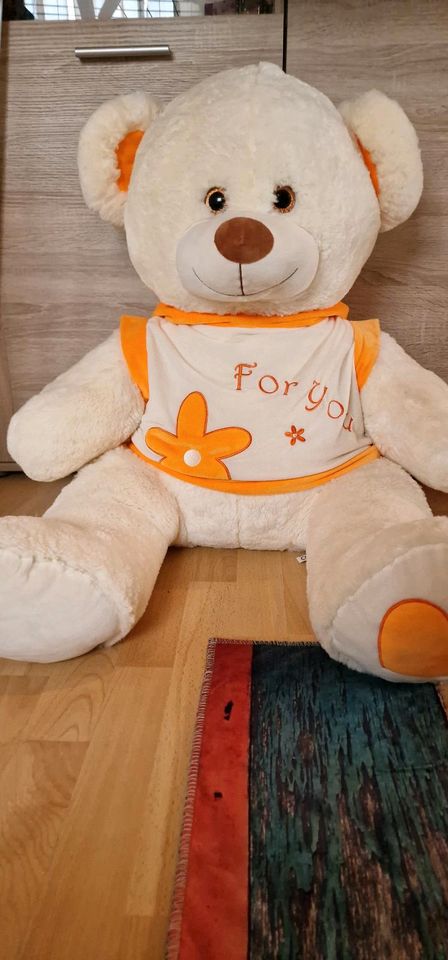 XXL Teddybär in Holzgerlingen