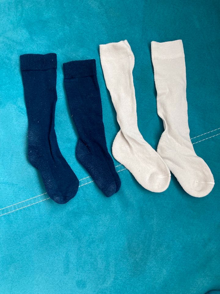 Kinder Socken Größe 23/26 in Droyßig