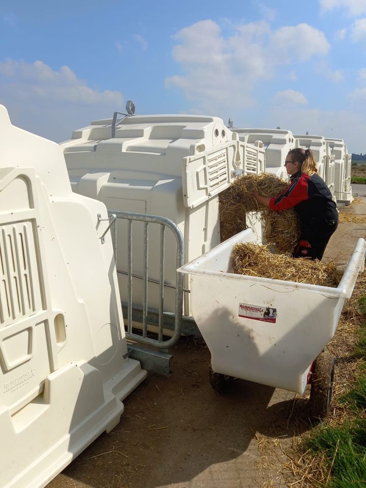 Agri-Plastics Gruppenhütte Kälber / Kälberiglu / Kälberbox in Laar (Vechte)