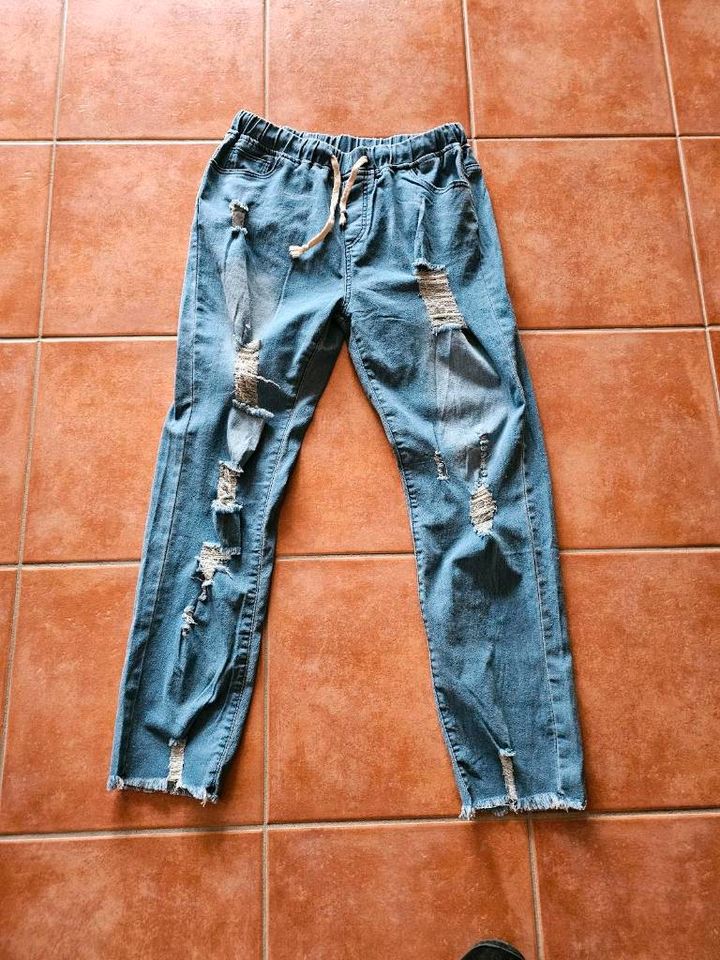 Neue moderne zerrissene Jeans in Zeven