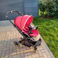 Kinderbuggy   Oyster 2 max Das Orginal aus UK Nordrhein-Westfalen - Bad Lippspringe Vorschau