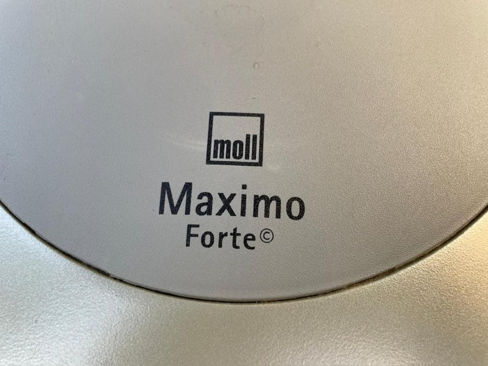 Schreibtischstuhl Moll Maximo mitwachsender Schreibtischstuhl in Regen