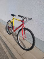 Herren Fahrrad 26 Zoll Baden-Württemberg - Lörrach Vorschau