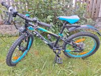 20“ Cube Kinder Fahrrad 7 Gang Bayern - Kleinwallstadt Vorschau