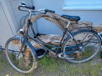 28" Fahrrad Wandsbek - Hamburg Jenfeld Vorschau