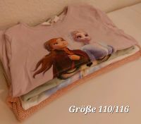 Kleidungspaket Mädchen Größe 110/116 Rostock - Dierkow Vorschau
