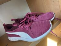 Sneaker / Sportschuhe / Schuhe von Puma in 37 Bayern - Etzenricht Vorschau