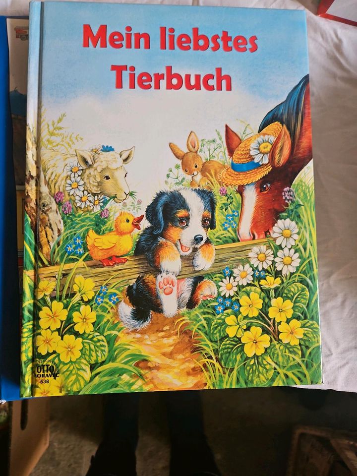 Kinderbuch in Treuenbrietzen