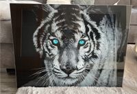 Wandbild mit Tiger aus Glas 80x60cm Niedersachsen - Schiffdorf Vorschau