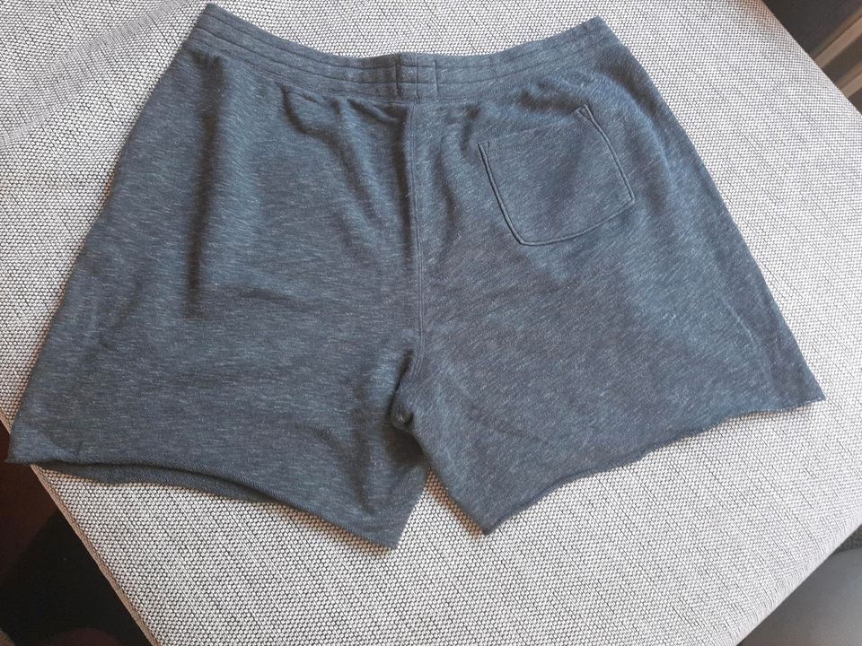 Herren Hollister Sweatshorts in Haan