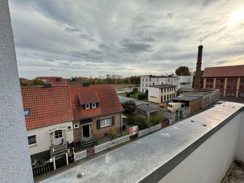 3-Raumwohnung mit Blick auf die Alte Elbe in Magdeburg