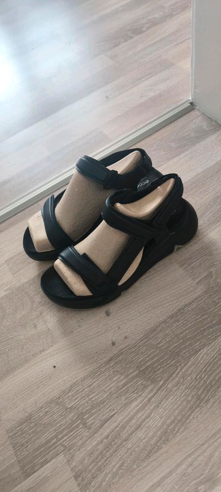 Ecco Sandalen in Menden