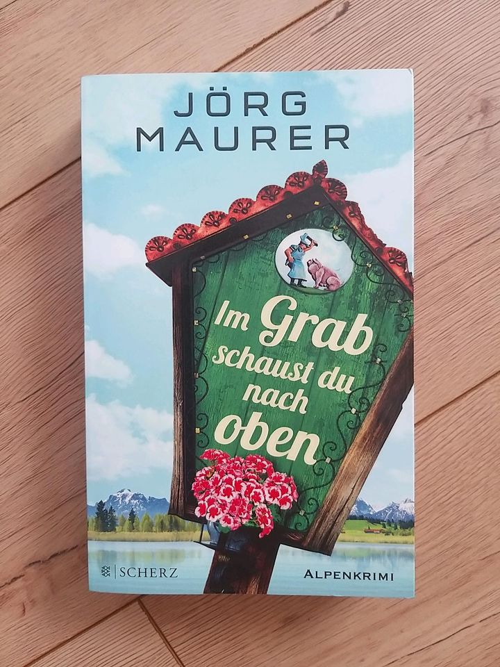 Jörg Maurer - Im Grab schaust du nach oben in Mossautal