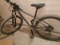 MTB Hardtail Grau Axess Unisex Bayern - Bobingen Vorschau