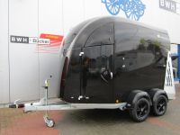 Bücker Trailer Careliner M Pferdeanhänger, 2400kg, auf Lager! Nordrhein-Westfalen - Emsdetten Vorschau