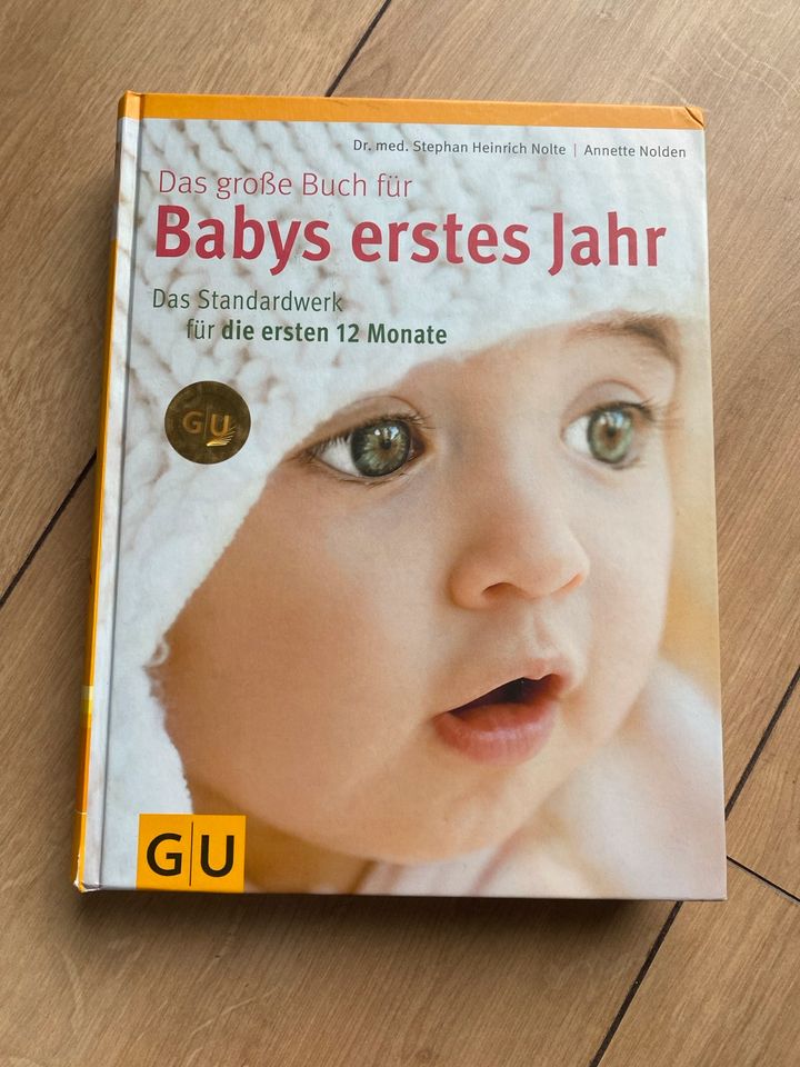 Diverse Bücher zur Schwangerschaft und Baby in Braunschweig