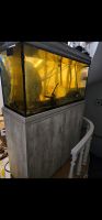 Aquarium 180 Liter mit Holzschrank Rheinland-Pfalz - Trier Vorschau