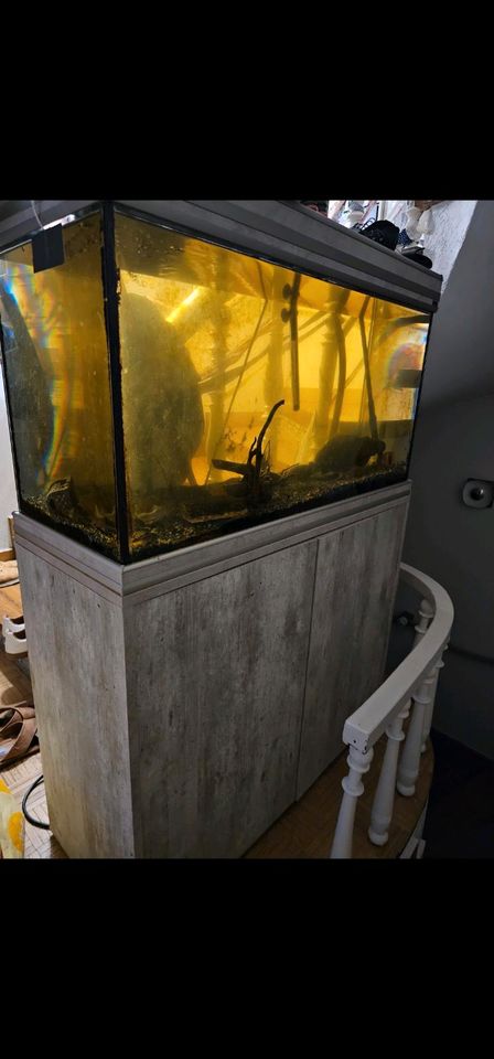Aquarium 180 Liter mit Holzschrank in Trier