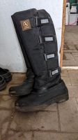 Winterreitstiefel Reitstiefel Winter Gr. 37 von Aigle Schleswig-Holstein - Hohenwestedt Vorschau