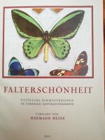 Farbschönheit Exotische Schmetterlinge Bayern - Obernburg Vorschau