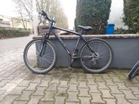 Fahrrad Mountainbike Hessen - Münster Vorschau