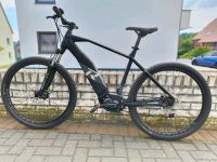 Fahrrad MTB E-Bike Raymon Hardray E-Nine 5.0 Rahmengröße L 55 Niedersachsen - Georgsmarienhütte Vorschau