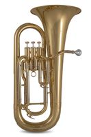 Jahreswartung Reparatur Tenorhorn / Euphonium / Bariton Herzogtum Lauenburg - Ratzeburg Vorschau