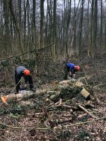 Baumfällung, Sturmschäden beseitigen Holz Baum Sturm Niedersachsen - Asendorf (bei Bruchhausen-Vilsen) Vorschau