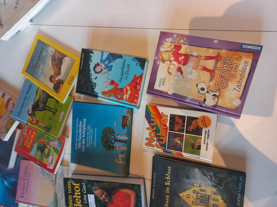 Jugendbücher Bücher Jugend Paket 20 Stück ostwind in Satrup