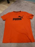 Puma Shirt T-shirt Herren große L Nordrhein-Westfalen - Wesel Vorschau