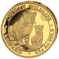 Goldmünze Somalia Wildlife Leopard 2024 0,5 Gramm African Niedersachsen - Fürstenau Vorschau