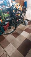 Herren E- Bike Prophete Entdecker Essen - Essen-West Vorschau