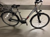 E-Bike Cruise 28“ Elektro Fahrrad Bayern - Poing Vorschau