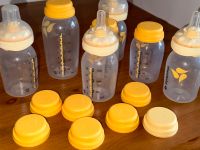 Medela Flaschen Baby gebraucht 7 Stück Steele / Kray - Essen Freisenbruch Vorschau