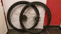 Campagnolo Bora One 28 zoll Baden-Württemberg - Walldorf Vorschau