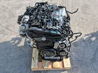 MOTOR DTP 4.513KM Mit Anbauteile 2.0TDI 204PS AUDI VW Seat Skoda Niedersachsen - Braunschweig Vorschau